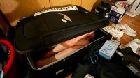 CBA球员把女友装行李箱带进宿舍!通宵补课后被禁赛