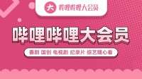 不能无限白嫖了！B站大会员新添同时使用设备限制