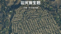 洛杉矶山火前后卫星图对比：所到之处一片荒芜凄惨