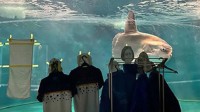 水族馆闭馆改造 翻车鱼突然抑郁：原来是人瘾犯了