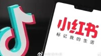 人民日报谈TikTok难民涌入小红书 不如说村民找新家