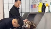 潘宏称艾特曾咬折女主人的胳膊 原主人发文否认
