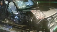 方程豹豹8高速遭遇重大事故致报废：乘客仅擦伤