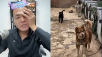 潘宏园区网红小狗意外离世引热议 对此你怎么看？