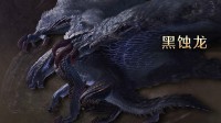 《怪猎荒野》新怪介绍:黑蚀龙 影蜘蛛回归!风铗龙首曝!