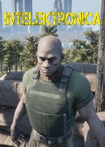 Intelektronica