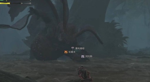 《怪物猎人：荒野》波衣龙打法及掉落材料
