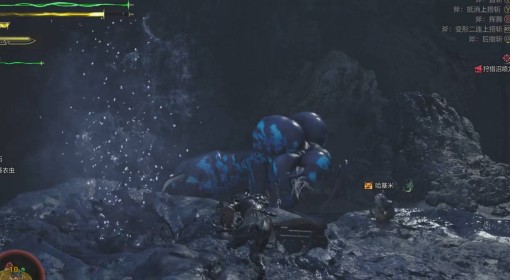 《怪物猎人：荒野》阿伊达的忧虑支线攻略