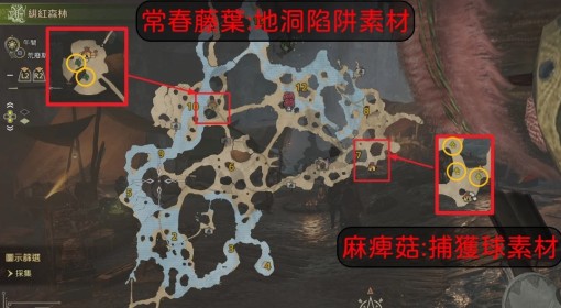 《怪物猎人：荒野》高效刷素材方法教学