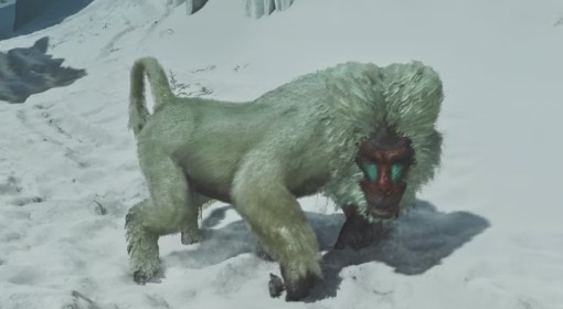 《怪物猎人：荒野》雪狮子位置及掉落素材