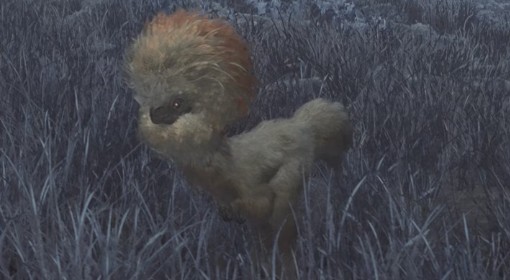 《怪物猎人：荒野》箭羽龙位置及掉落素材
