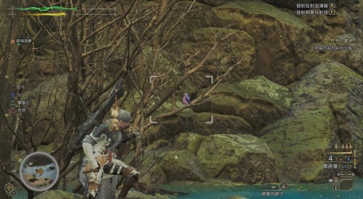 《怪物猎人：荒野》美声歌鸮位置分享