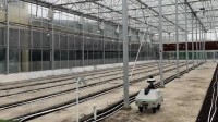 “机器狗”都准备种田了：已接入DeepSeek 