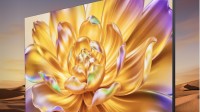 海信电视E8Q系列发布！330Hz高刷 画质超棒 支持DS