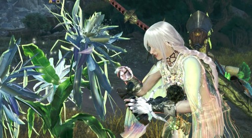 《怪物猎人：荒野》新版速刷一夜花月华粉