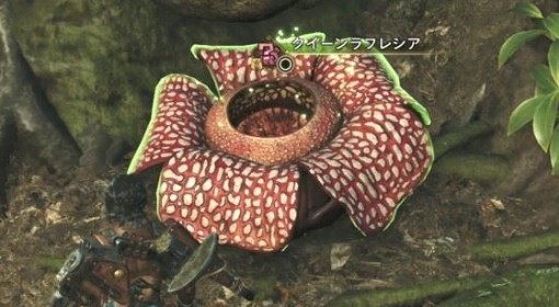 《怪物猎人：荒野》女王大花草位置地图