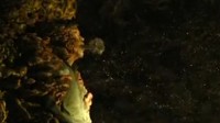 感染传播方式+1！HBO《最后生还者》S2将带回孢子
