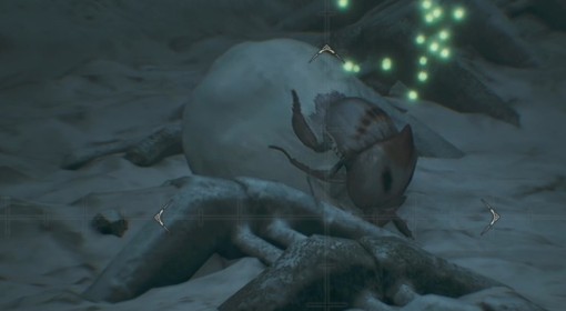 《怪物猎人：荒野》雪球虫地图点位及捕捉