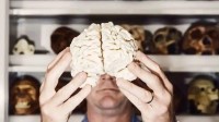 最新研究：人类的智商似乎正在走下坡路 
