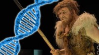 一个神秘族群给了人类20%基因 可能让我们变得更聪明