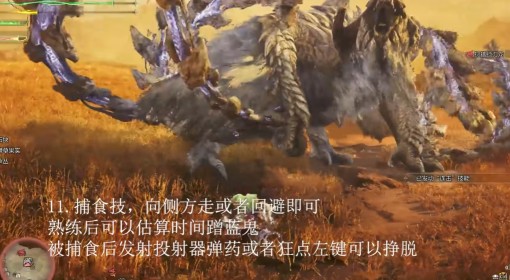 《怪物猎人：荒野》双刀锁刃龙招式处理教程
