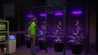 《GTA6》代餐!这款犯罪游戏爆火:Steam超30万在线