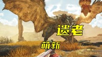 为了弄清新老怪猎哪个更好，我采访了一个“遗老”