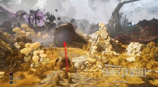 《光与影：33号远征队》刷头精竞技场探索攻略