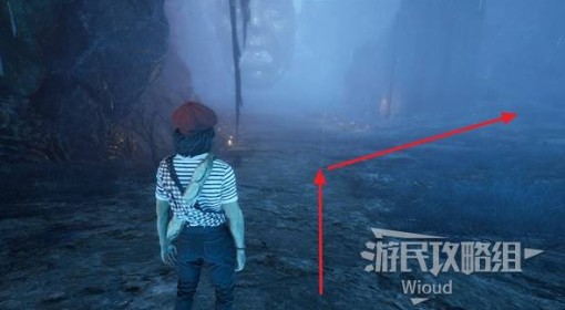 《光与影：33号远征队》39号日志获取方法