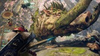 《狂野之心S》NS2版详情：联机需要会员