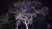 日本青森县出现神秘地鸣 居民担忧是地震或火山先兆