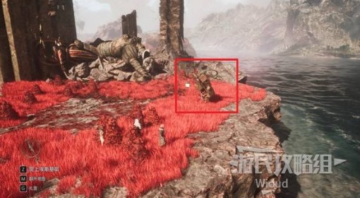 《光与影：33号远征队》麻布与棉花唱片获取方法