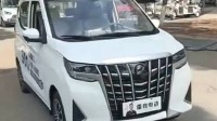 “老头乐”的魔爪已经伸到埃尔法 网友：该叫爱儿发