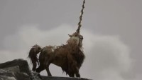 明日免费上线！IGN《权力的游戏》独家劲爆实机公开