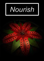 Nourish