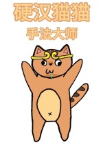 硬汉猫猫：手法大师
