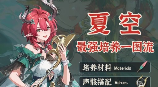 《鸣潮》夏空全方位培养一图流