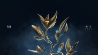 国产《鸣潮》发布5个重磅新卫星!日月花都是谁?