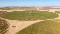 中国将撒哈拉沙漠改造成甜菜农场：年产90万吨原糖