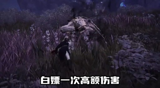 《法环：黑夜君临》阵容搭配推荐