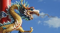 来晒出自己的端午假期 看看哪位老哥的假期最有趣！