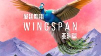 好评电子桌游新扩展《展翅翱翔：亚洲篇》定档6月16日发售