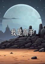 我是高手