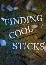 Finding Cool Sticks