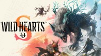 《狂野之心S》制作人：Switch 2更像XSS而不是PS4