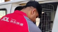 沙特现京东快递员：已开启配送 当地招募上千人团队