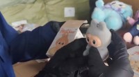 海关查获上万个仿版LABUBU 包含盲盒、毛绒玩具等
