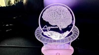 马斯克脑机公司新突破 盲人复明迈出关键一步！