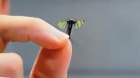 新突破！我国科学家成功研发蚊子大小仿生机器人