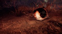 《仁王3》官宣新“萌物”！可撸猫型妖怪登场